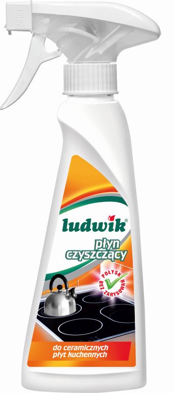 LUDWIK PLYN DO PLYT KUCH 250ML\1szt