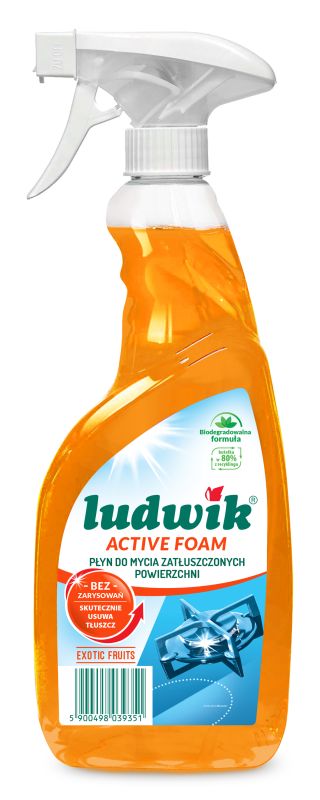 LUDWIK PLYN DO ZATLUSZCZONYCH 600ML\1szt