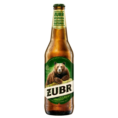 PIWO ZUBR 500ML ZW\20szt